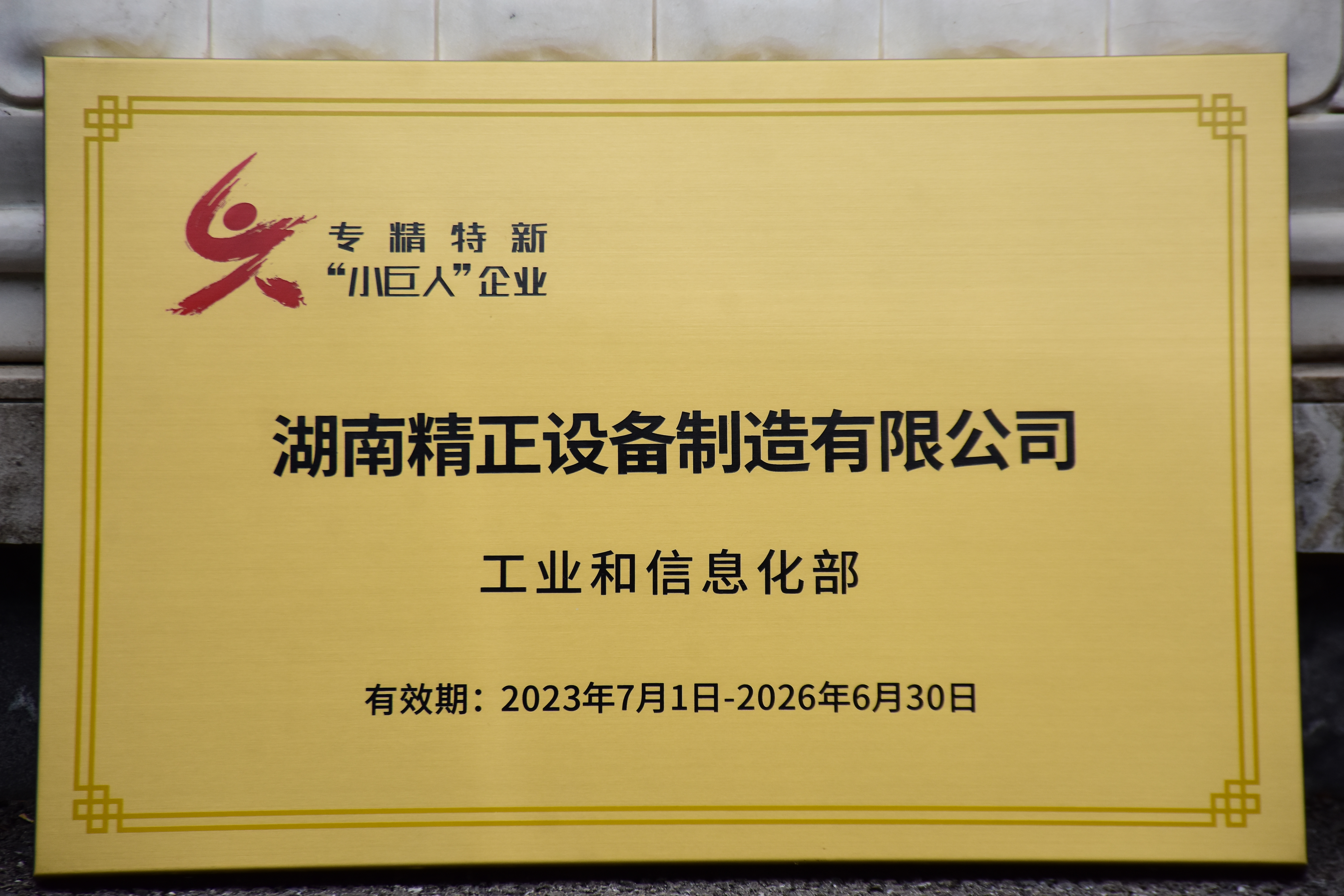 球友会（中国）官方获得“专精特新”小巨人企业